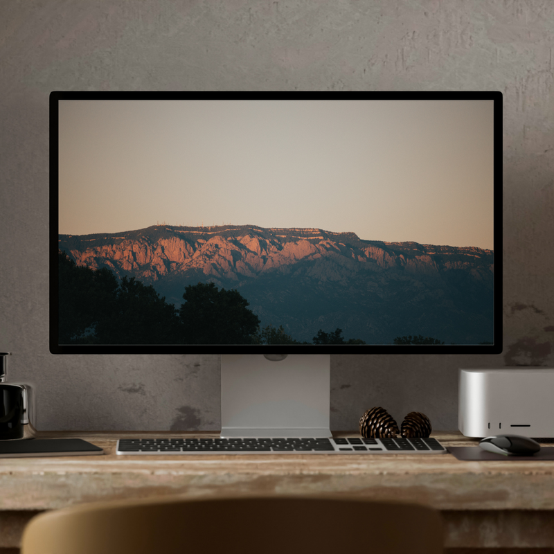 Computer & Accessories