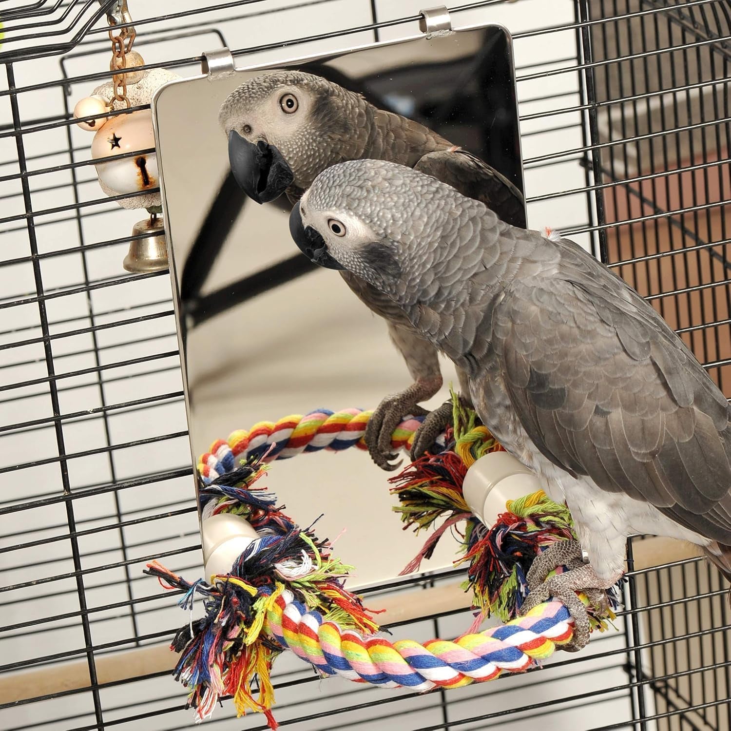 9 Inch Stainless Steel Bird Mirror with Rope Perch 