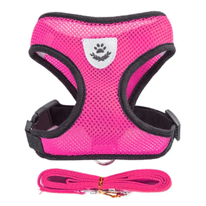 Adjustable Cat & Dog Harness Vest – Mesh Walking Leash for Small to Medium Pets