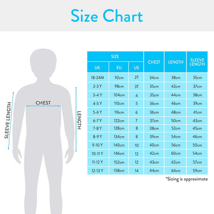 Hoodie | Mario Boys Hoodie | Ages 3 to 12 Years | Grey