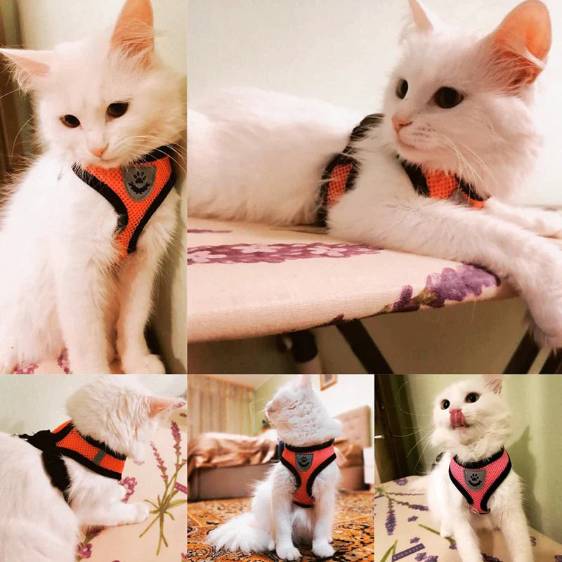 Adjustable Cat & Dog Harness Vest – Mesh Walking Leash for Small to Medium Pets