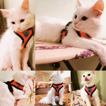 Adjustable Cat & Dog Harness Vest – Mesh Walking Leash for Small to Medium Pets