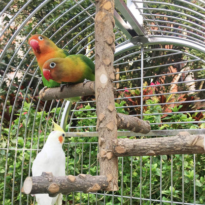 Bird Perch Nature Wood Stand for 3-4Pcs Small Medium Parrots (S-For Small Parrots)