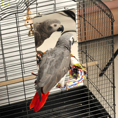 9 Inch Stainless Steel Bird Mirror with Rope Perch 