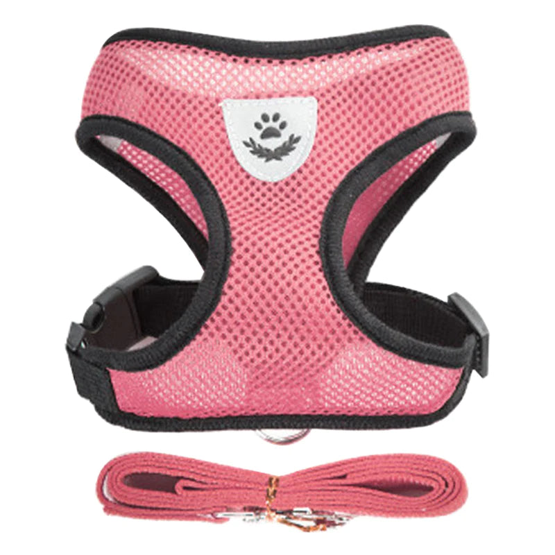 Adjustable Cat & Dog Harness Vest – Mesh Walking Leash for Small to Medium Pets