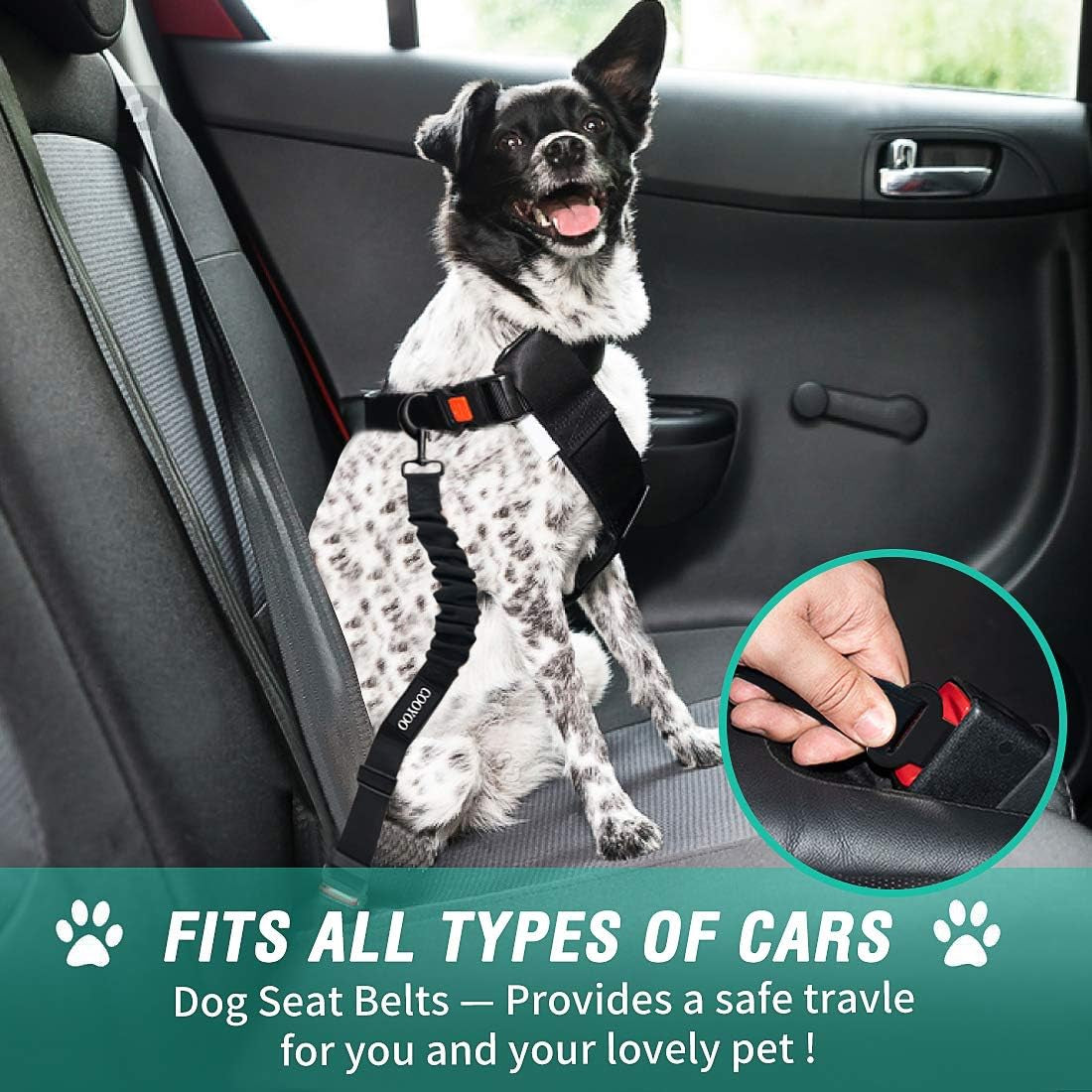 Dog Seat Belt Set – Retractable, Adjustable Nylon Pet Car Safety Harness with Elastic (3-Piece)