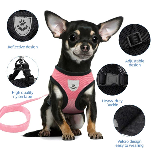 Adjustable Cat & Dog Harness Vest – Mesh Walking Leash for Small to Medium Pets
