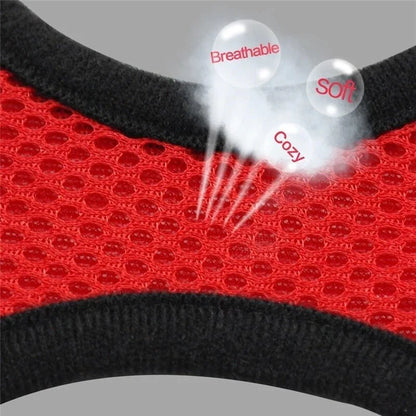 Adjustable Cat & Dog Harness Vest – Mesh Walking Leash for Small to Medium Pets